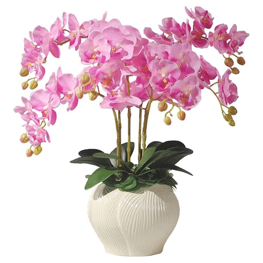 XDLEDMKIZ Orchid Artificial Flowers Artificial Phalaenopsis Flowers Plant Arrangement Faux Orchids Natural Flowers Artificial Flowers Bonsai Orchids Artificial natural lo