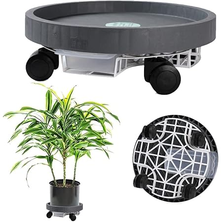 Amazon Co Jp 鉢置き台 キャスター付き 植木鉢台 受け皿 貯水付き 植木鉢 受け皿 移動花台 植木鉢 キャスター 鉢受台 フラワースタンド 鉢置き台 キャスター 360 回転のキャスター 移動便利 水受け引き出し 根腐れ防止 5 Diy 工具 ガーデン Amazon Co Jp 鉢置き台 キャスター付き 植木鉢台 受け皿 貯水付き 植木鉢 受け皿 移動花台 植木鉢 キャスター 鉢受台 フラワースタンド 鉢置き台 キャスター 360 回転のキャスター 移動便利 水受け引き出し 根腐れ防止 5 Diy 工具 ガーデン