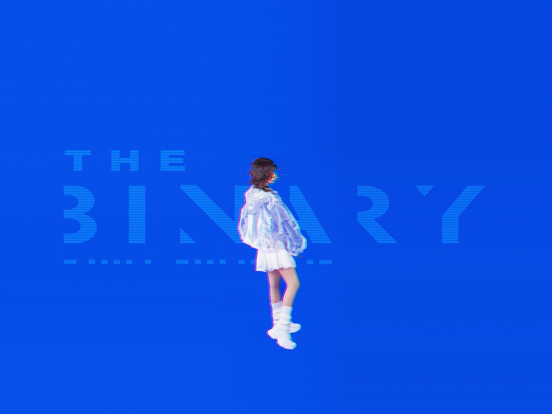 The Binary