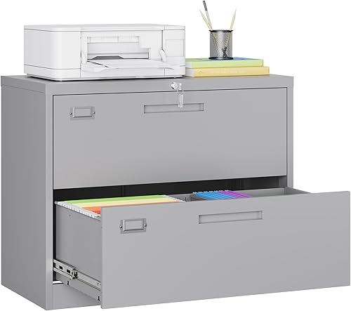 MIIIKO Archivador lateral de 2 cajones para oficina en casa, archivador de metal gris con cerradura y barras colgantes, carpetas de archivos de