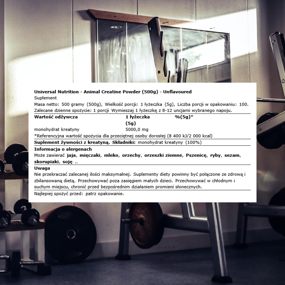 ANIMAL Pure Creatine Monohydrate – creatina monoidrato pura e micronizzata in polvere – 5 g di creatina per porzione – facilmente assorbibile e insapore – 500 g