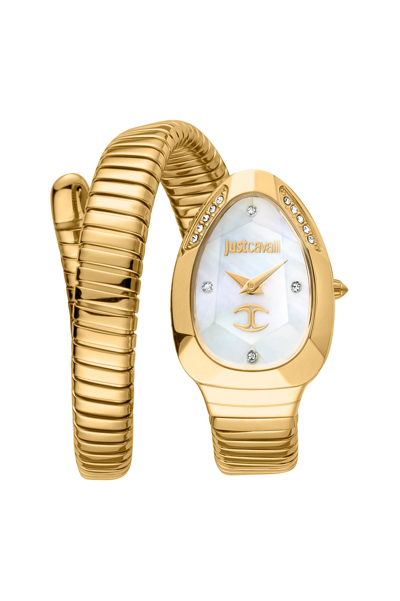 Just Cavalli Women Analog WatchGold-JC1L229M0025