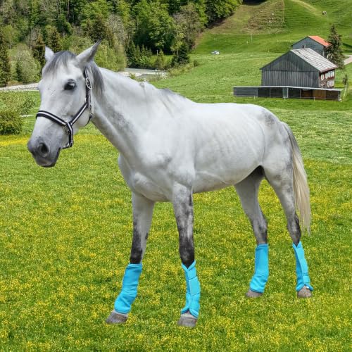 Image of Horse Fly Boots, Mesh Fly Boots for Horse Set of 4, Equine Leg Protection | Breathable Horse Leg Fly Wraps, Horse Leggings Reduce Stomping, Non-Slip Leg Guards for Mini Pony Horse Donkey