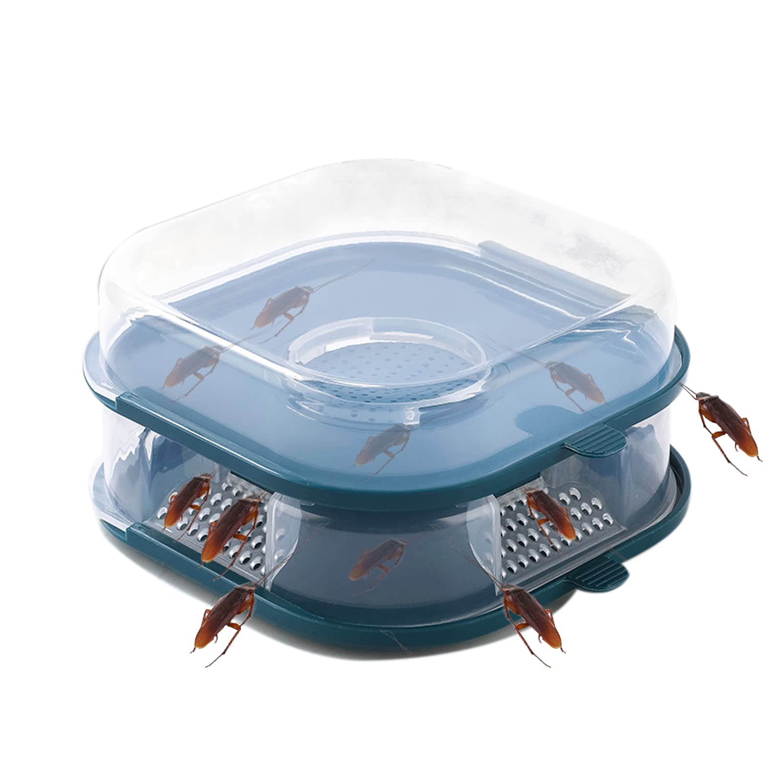 Buy Roach Killer,Roach Killer Indoor Infestation,Cockroach Killer