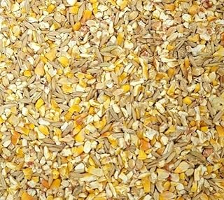 CZ Grain Premium Scratch Grains Bird Feed - Corn, Sunflowers, Wheat, Oats, Barley, Milo and Millet - Well Balanced Mix for Great Nutrition for Chickens and Ducks (8 Ounces)