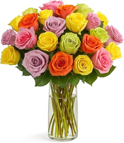 BloomsyBox Ramo de rosas reales multicolores: dos docenas de rosas arcoíris, 25 tallos largos, arreglo floral de larga duración y atado a mano, ramo