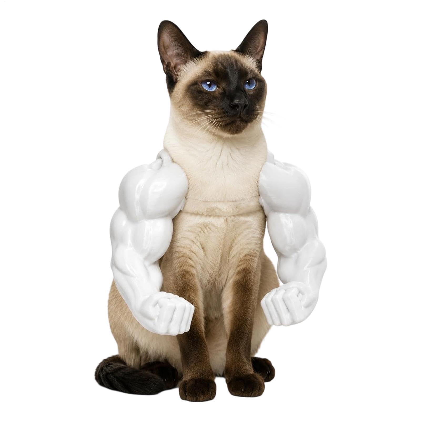 Funny Cat Muscle Arms, 3D Printed Pet Costume Accessory
