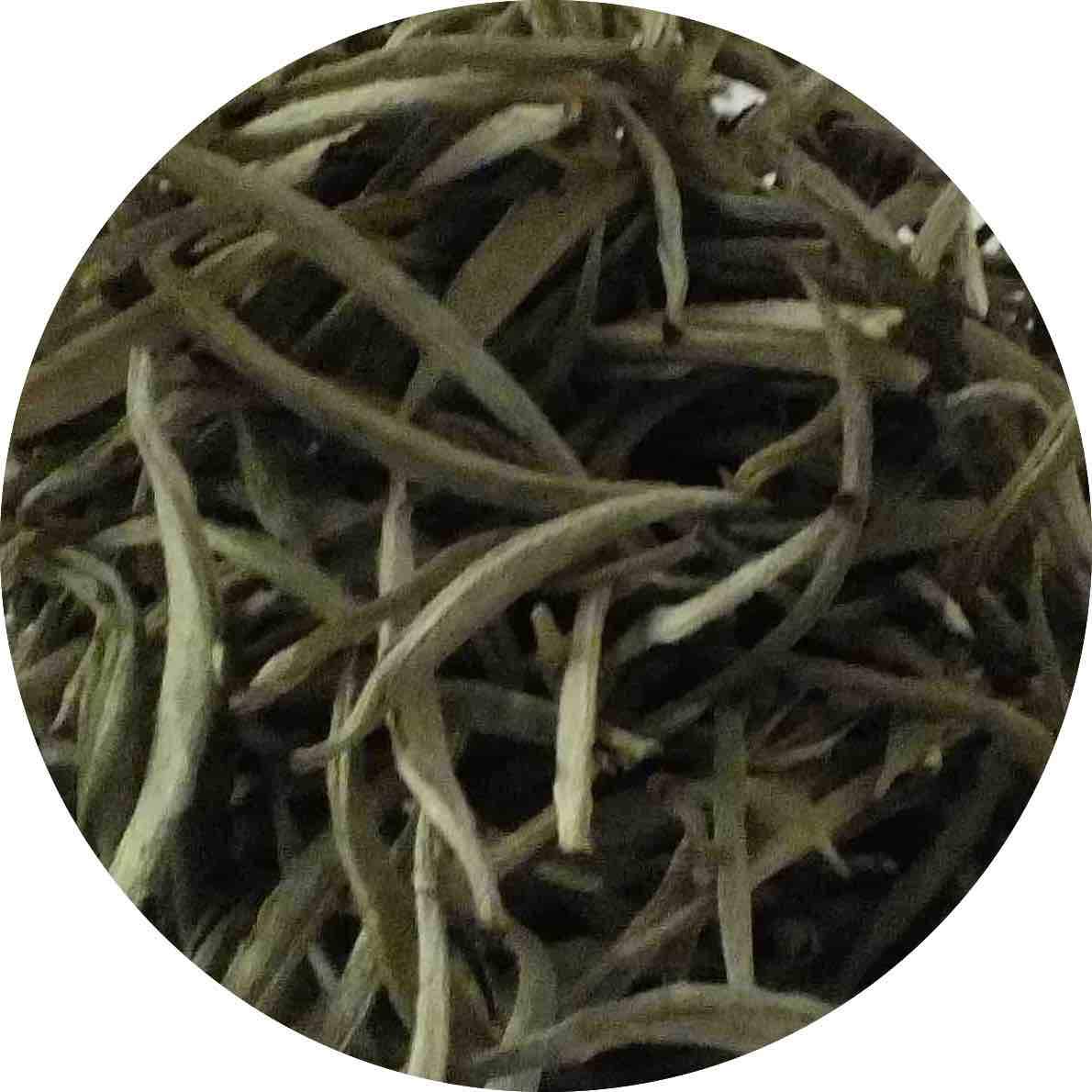 Lerbs & Hagedorn, China Weißer Tee 'Yin Zhen' Silver Needle | Sehr Heller Aufguss, Sehr Weicher Geschmack 0,5kg (ca. 40 Liter)