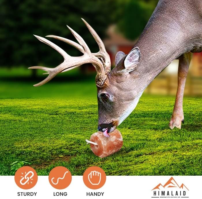 Miniatura 7 de Cuerda de sal del Himalaya para caballos, ganados y otros ganados, 2.5 libras cada uno (paquete de 9)