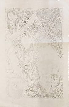 Amazon.co.jp: 真作保証『ホルストヤンセン 銅版画作品 限定