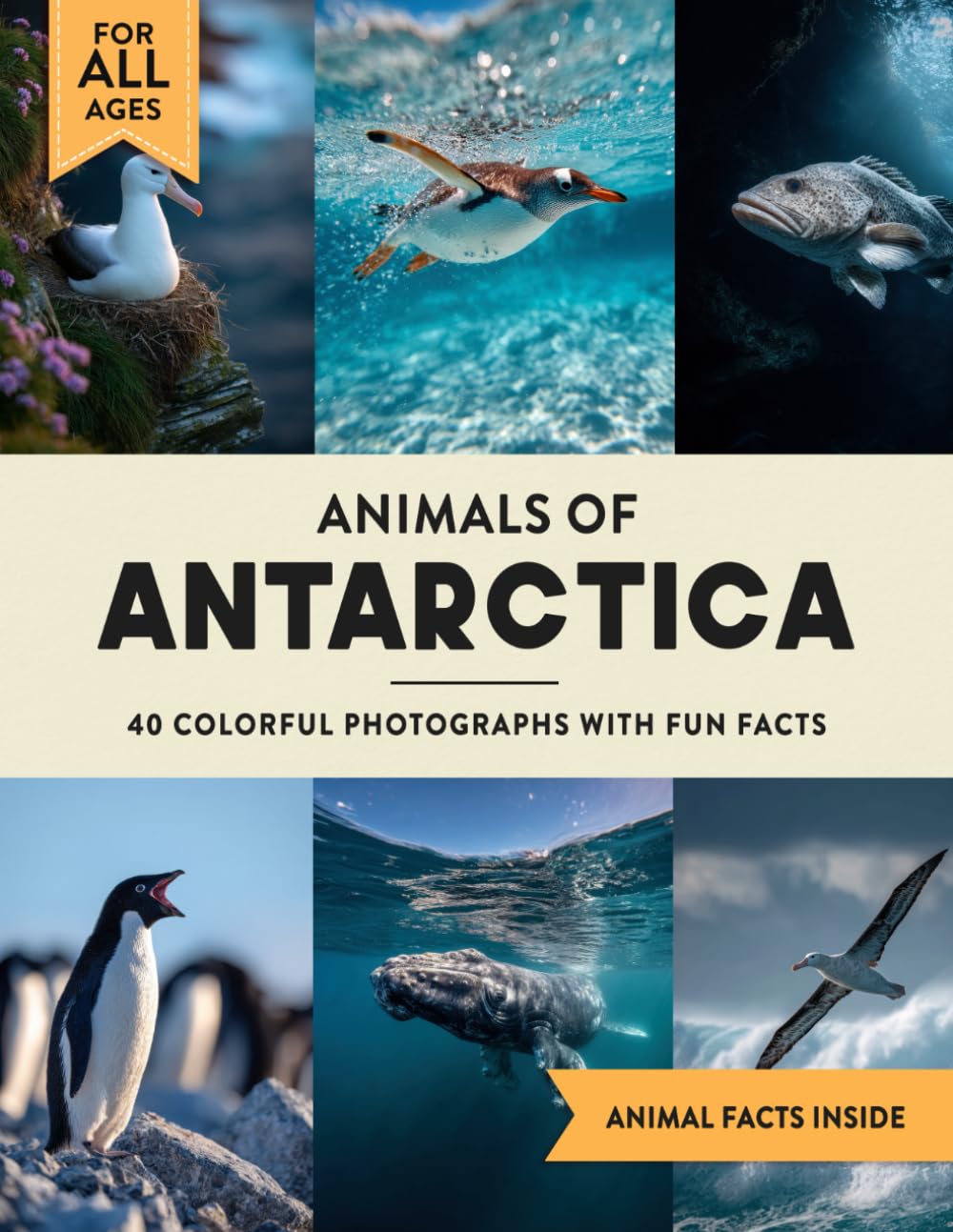 Animals of Antarctica: A Wildlife Picture Book With Fun Facts Including South Pole and Ross Sea For Kids & Adults