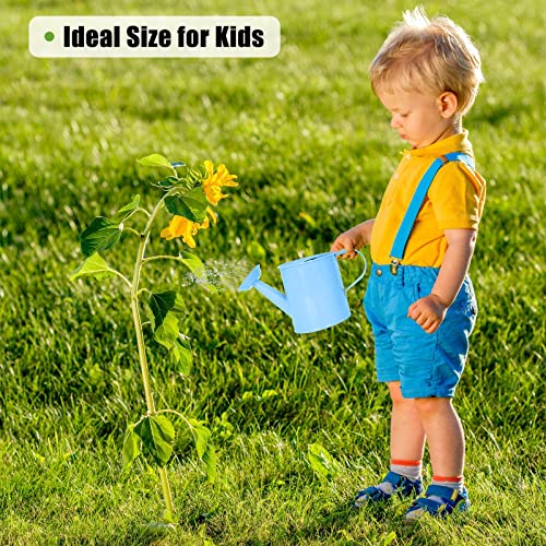 Lechloris Regador de Metal(1 Galão) para Plantas de Interior E Exterior com Pequeno Regador Grátis p