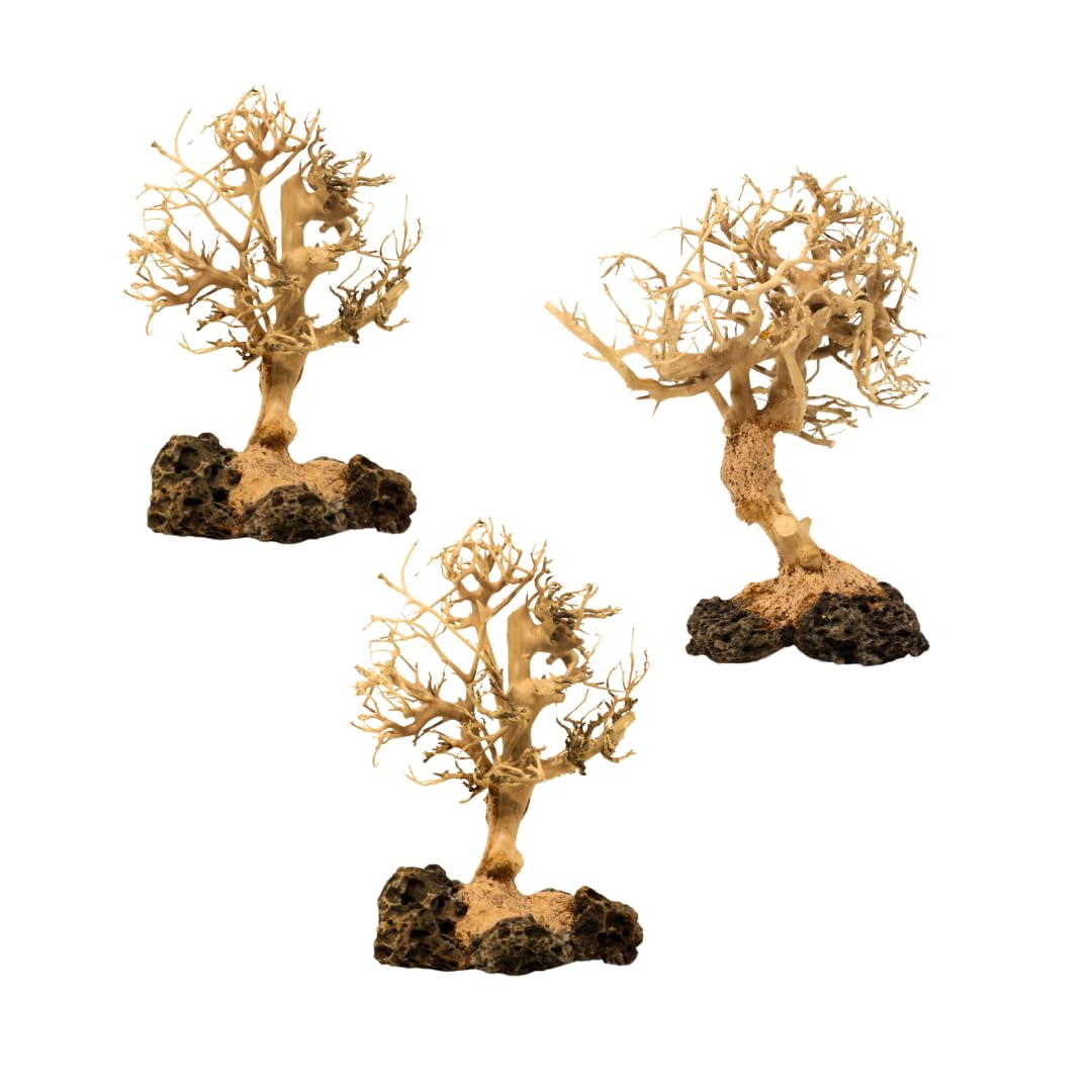 3-Pack Bonsai Driftwood Aquarium Trees on Rock 3BSS (5
