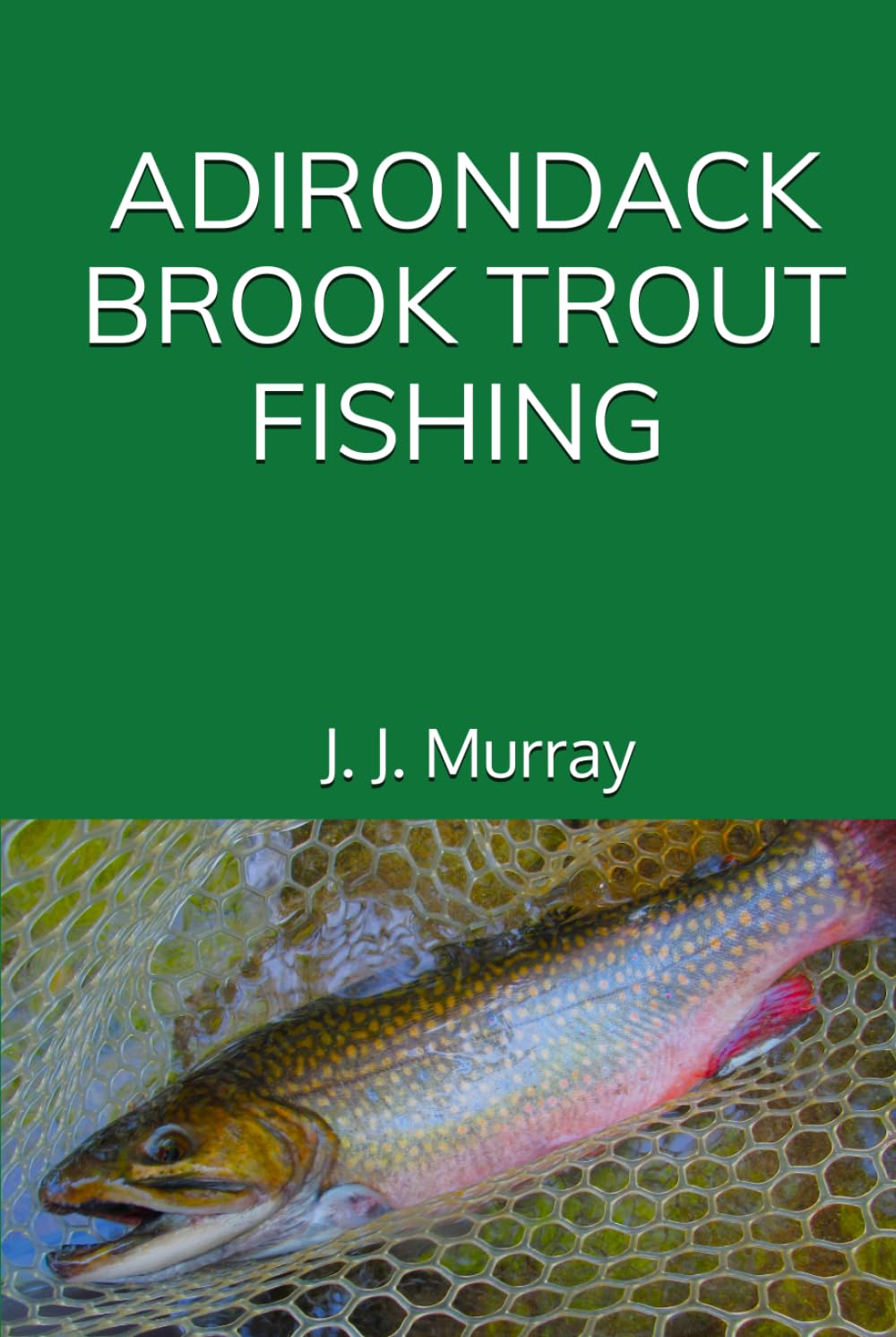 Adirondack Brook Trout Fishing