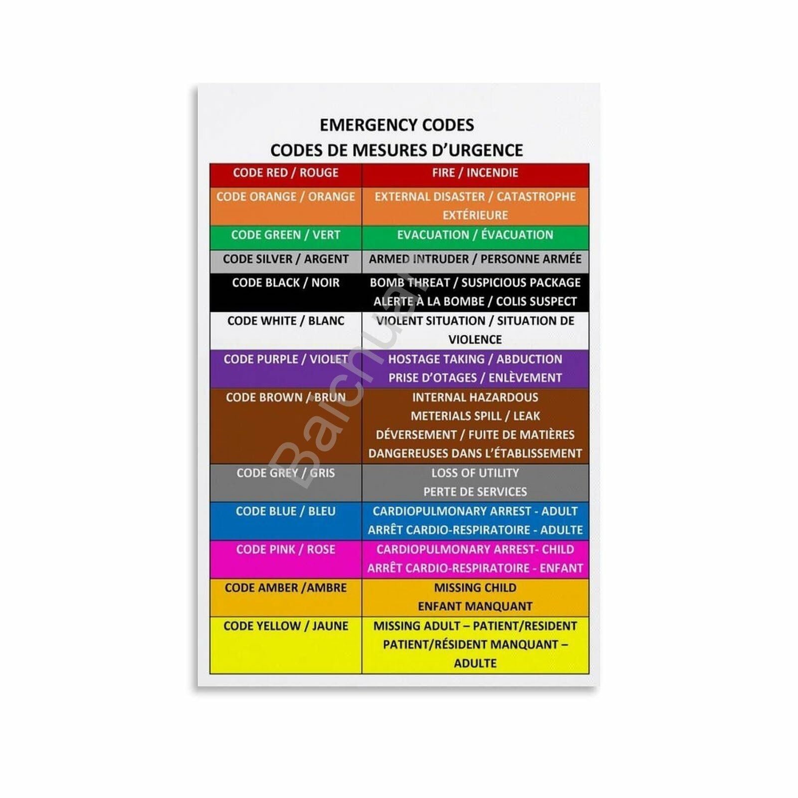 KCDFDVJFBM Facility Emergency Codes Color Code Chart Wall-Art for Office Control Room Security Room Decor