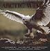 Arctic Wings: Birds of the Arctic National Wildlife Refuge