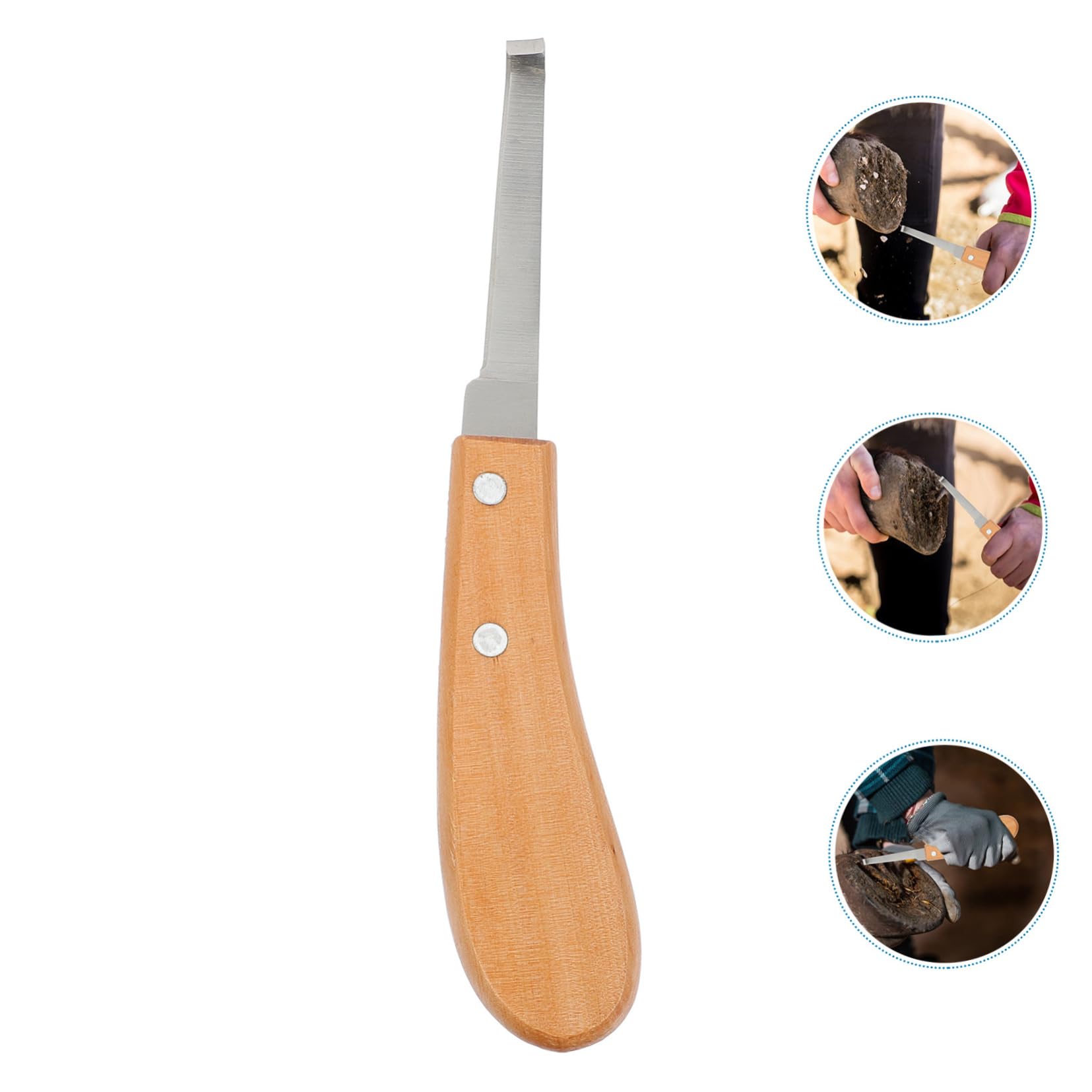 3stücke Tragbares Hufschneider Werkzeug Für Pferde Edelstahl Huftrimmer Zur Reparatur Von Eisenbeschlägen Ergonomischer Holzgriff Für Pflege Von Pferdehufen
