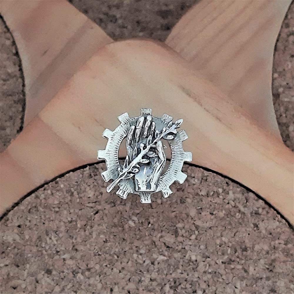 Insignia Profesional de Asistente Social Pin para Hombre Mujer en Plata 925 con Caja para Regalo