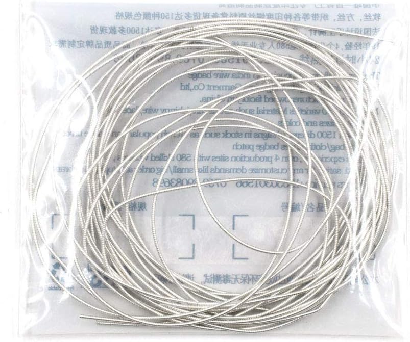 1mm French Bullion Wire, French Coil, Gold Work Embroidery Silk Thread, Sewing DIY Accessories Jewelry Making Embroidery Metalic Purl Wire, 110inch (Silver)