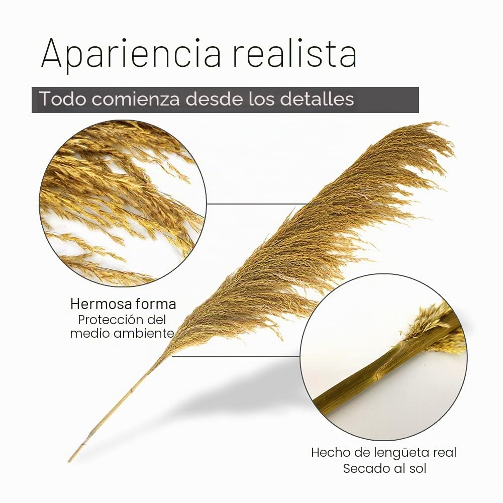 Pampas Grass Decor Tall,Pampas Grandes Florales esponjosas,Flores de Plumas largas para arreglo de Boda Boho Sala de Estar (4 Piezas 43"/110cm, Oro)