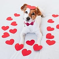 Vista 6 de PUPTECK Collar de perro con campana, paquete de 2 unidades, collar ajustable para cachorros, dulce regalo para perros pequeños y mascotas de 11.8 a