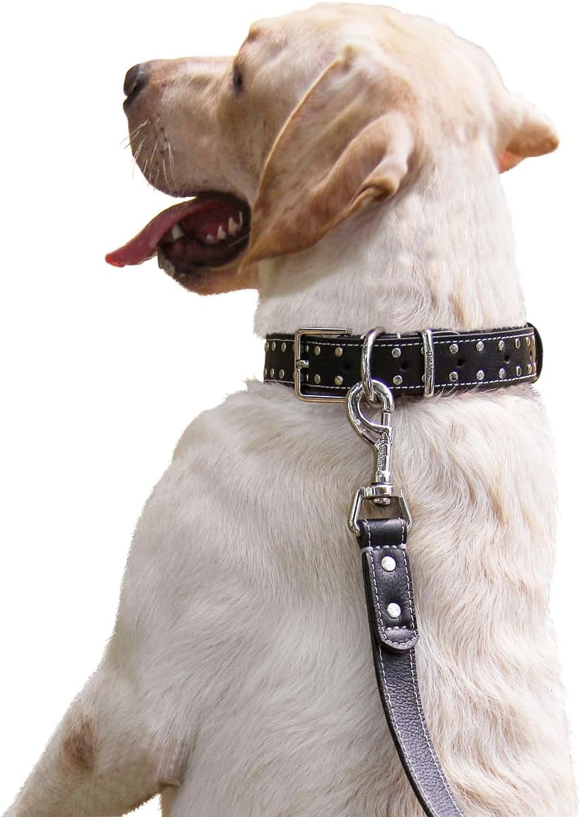 Collar de cuero con tachuelas para perro, tamaño M miniatura 1