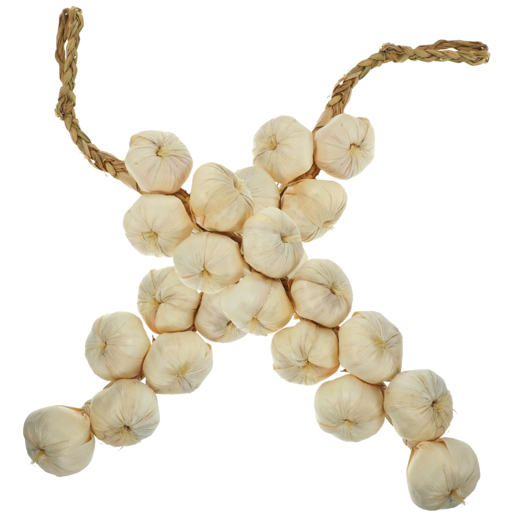 Abaodam 12 Pcs fall wreath outdoor artificial plants outside kids kid food fake carrots vegetable Plastic Garlic Plant fruit Garlic Skewers Ornament Red Pepper Skewers office white