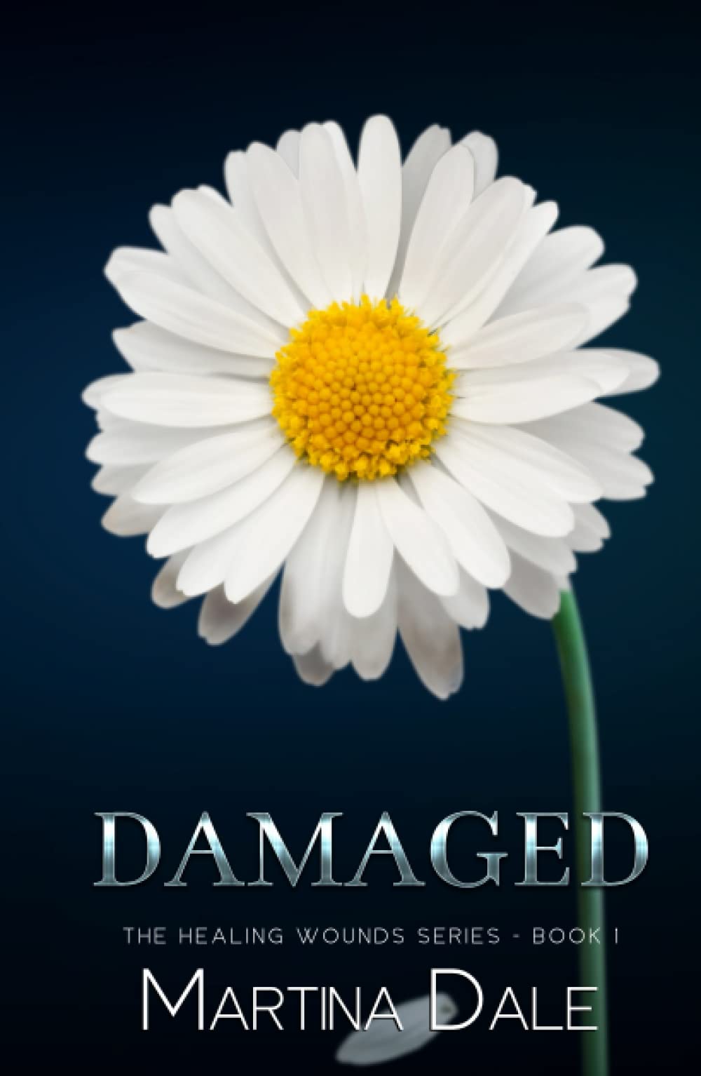 Damaged: An Enemies to Lovers Romance. (The Healing Wounds Series)