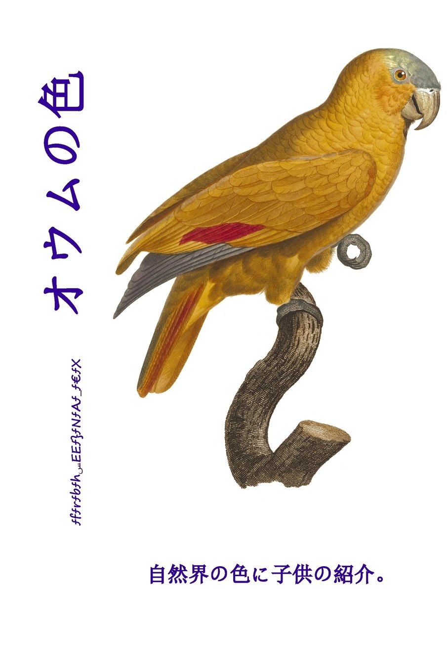 Omu no iro: Shizen-kai no iro ni kodomo no shokai