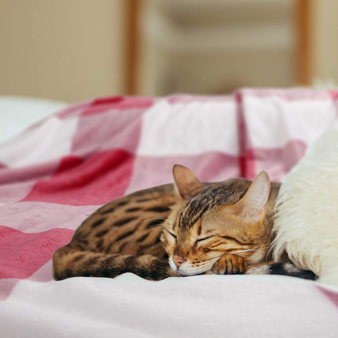 PiccoCasa Couverture polaire en flanelle pour animal domestique - Couverture de canapé-lit - Couverture pour chien ou chat de petite taille - 76,2 x 101,6 cm - Rose et blanc