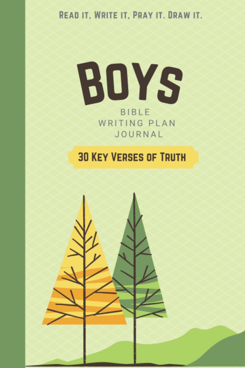 BOYS Bible Writing Plan Journal. 30 Key Verses of Truth: Read it, Write it, Pray it, Draw it.