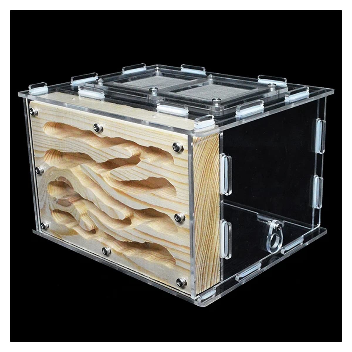 Formicaio Fai Da Te In Acrilico E Legno - Terrario Per Formiche Con Area Alimentazione | Kit Educativo - Foto 7