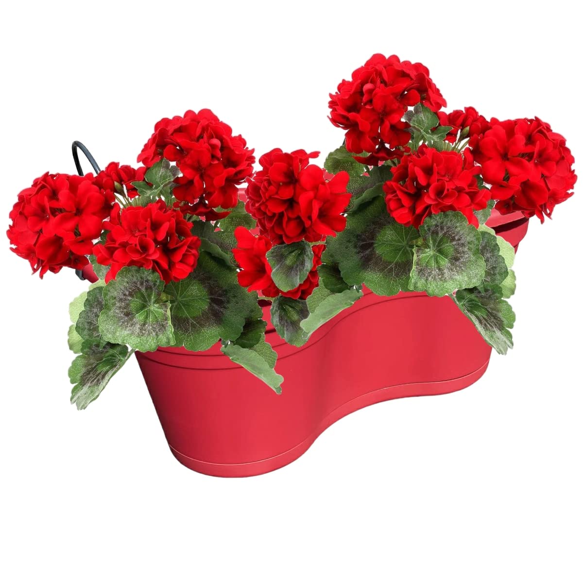 Doppel Balkon Blumenkasten Hngekasten Komplett Reling Blumenkasten -  Himbeere - 37 x 20 x 17 cm - 3 Stck: Amazon.de: Garten