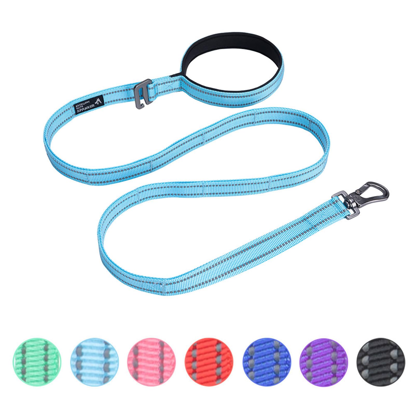Double Layer Double-Sided Reflective Nylon Dog Leash Padded Handle 5 FT Nylon Dogs Leashes for Walking Training Lead for Medium & Large Dogs(Light Blue)