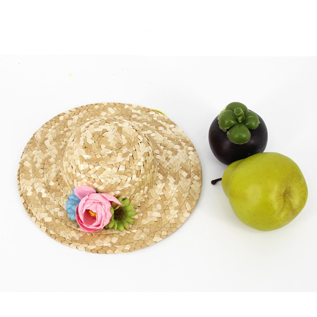 VMS INDIAOutdoor Straw hat Stylish Hat Pet Dog Cat Doggy Pet Cap M 3# (Random Color) (B09HS9J6KZ) Amazon Price History, Amazon Price Tracker