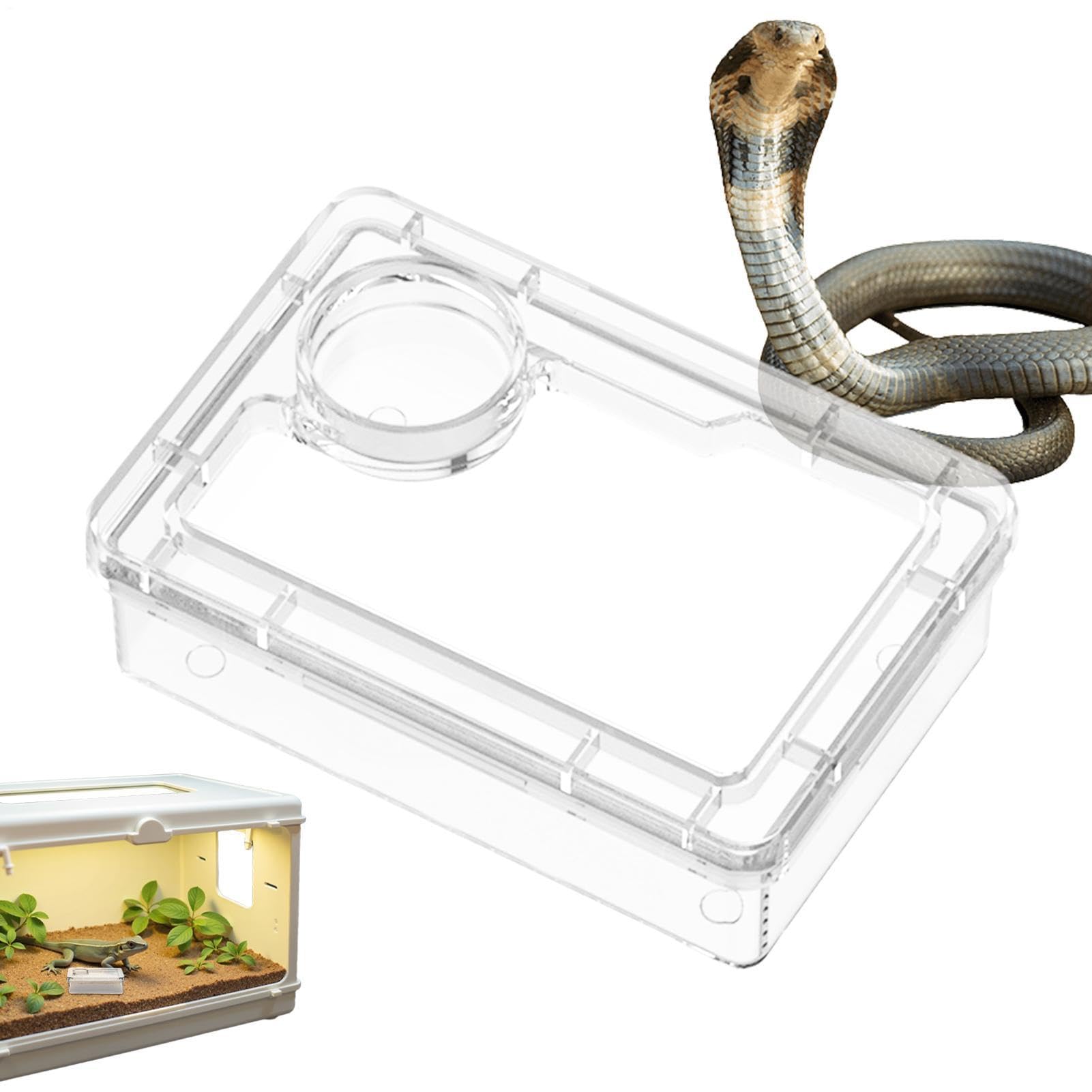 Reptile Water Dish, Anti-Escape Crested Gecko Food Dish, Live Food Feeder Bowl, Mealworm Feeding Container For Habitat Feeding Gecko Chameleon Terrarium Frog Tank Lizard Tortoise Cage Leopard