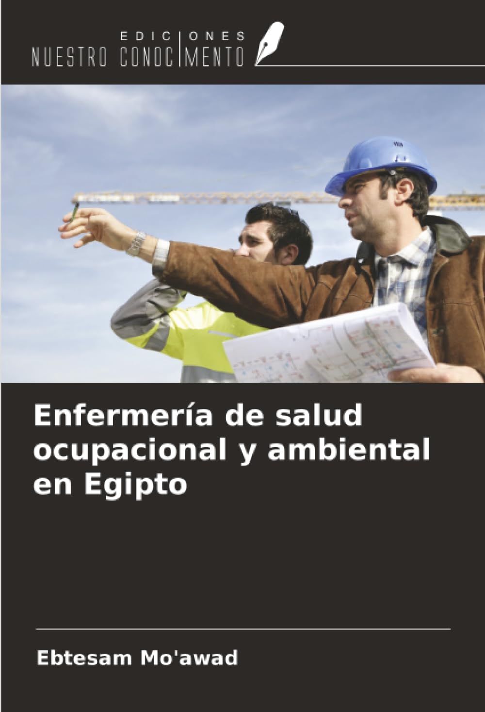 Enfermería de salud ocupacional y ambiental en Egipto