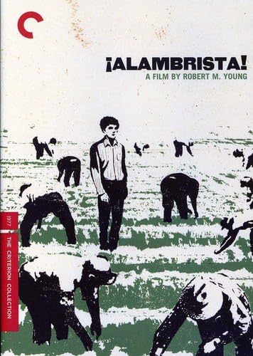 Alambrista! (The Criterion Collection) [DVD]