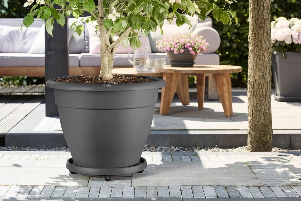 elho Universal Planttaxi - Saucer for Indoor and Outdoor - Set of 2 - diameter 30 cm - Black/Anthracite - Image 3