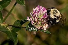 Review Image by Deedra Deedra