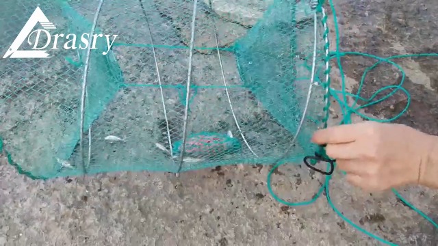4x Red De Pesca De Cangrejo Cangrejo De Cangrejo Minnow Red De Pesca De Jaula 6 12 Agujeros Cola Red Plegable De Cangrejo