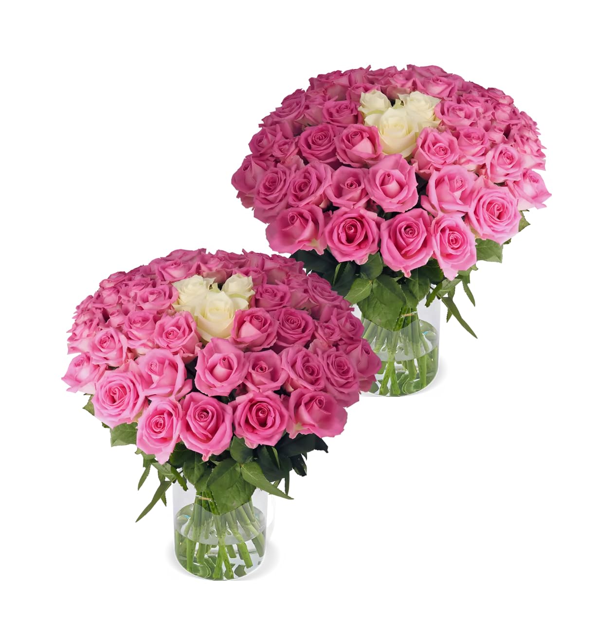 Blume Ideal Rosenstrauß - Rosen in verschiedenen Farben und Mengen - Ø 40–50 cm - Echte premium Blumen für Hochzeit & Deko - 7 Tage Frischegarantie