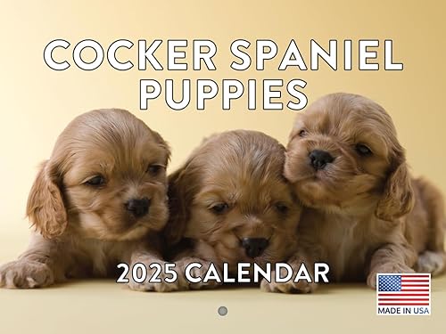 Vista 295 de Calendario Goldendoodle 2026 Golden Doodle mensual de pared calendario de 12 meses Fabricado en Estados Unidos