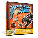 Starter Fossil Science Kit – 10 Genuine Fossils Including Dinosaur Specimens!