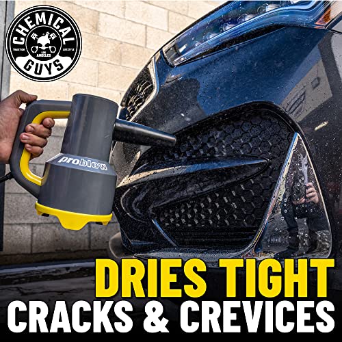 Chemical Guys EQP403 ProBlow High Flow Professional Hand Held Dryer & Blower (Car Wash Dryer) for Cars, Trucks, SUVs, RVs, Yard, Garage, Home, Work and More