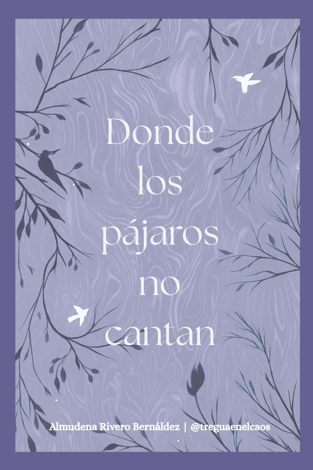 Donde los pájaros no cantan: Tregua en el caos