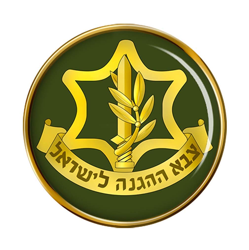 IDF イスラエル空軍　バージ ピン Badge Pin B IDF イスラエル空軍 バージ ピン Badge Pin B Idf Zahal LOCHEM