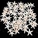 Super Z Outlet Tiny Miniature Fairy Garden Beach Critter Starfish Marine Life Collection for Arts & Crafts Projects, Decorations, Party Favors, Invitations - 90 Pieces