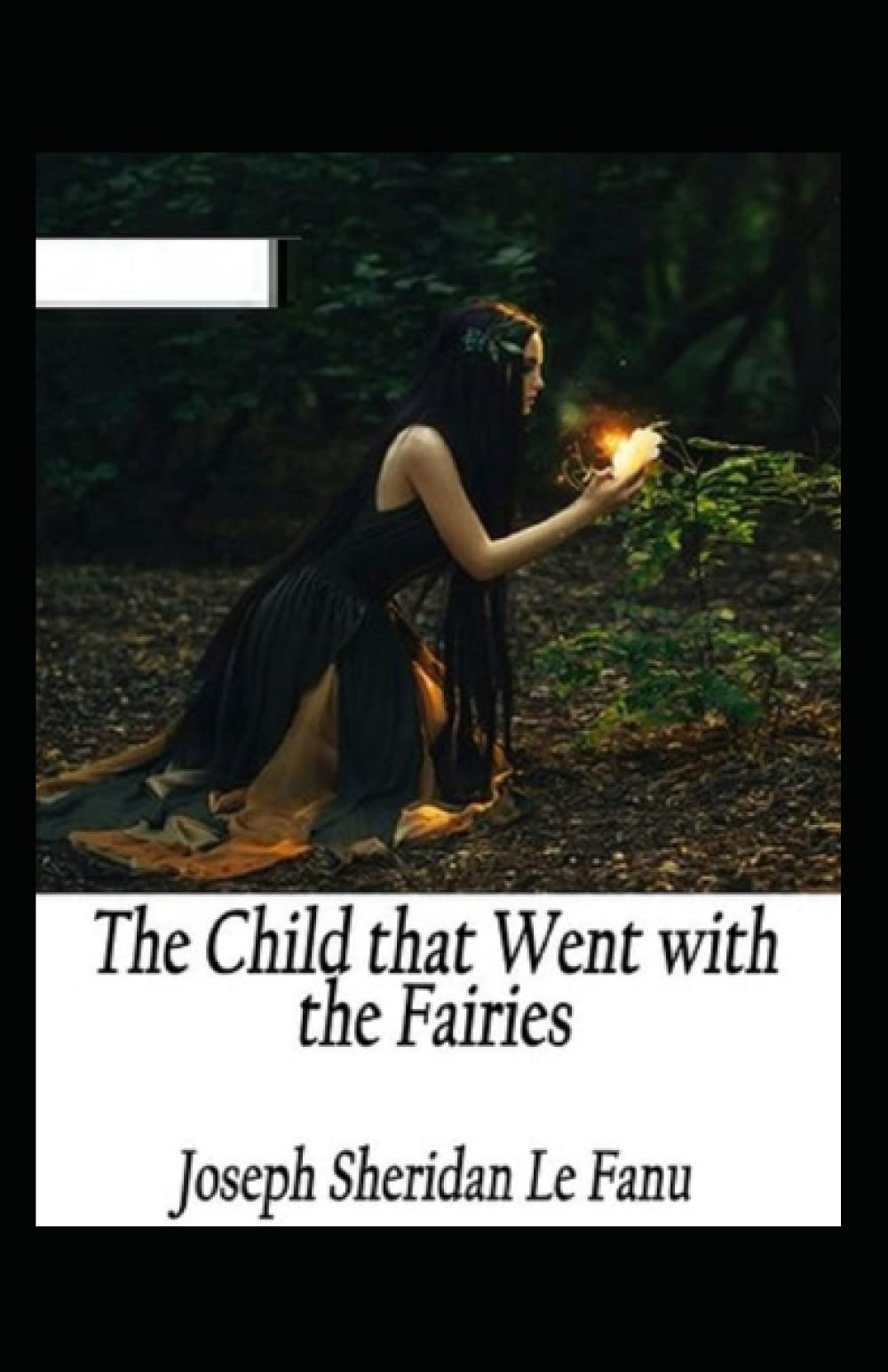 The Child That Went With The Fairies Illustrated