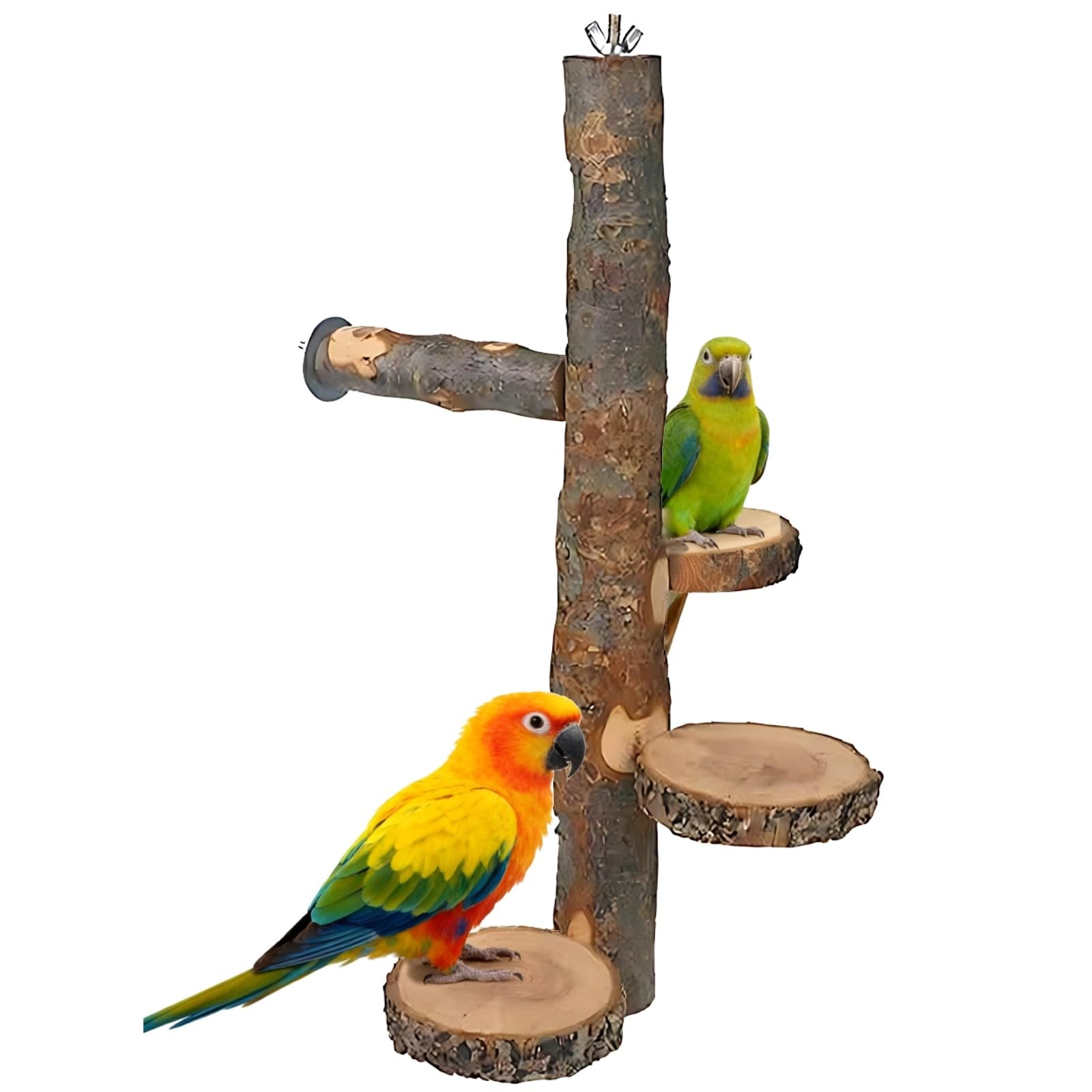Générique Perchoir pour oiseaux, bois naturel 14,6 pouces, 3 plateformes circulaires et barre de maintien, jouet à mordiller, support pour cage, plateforme pour chinchilla